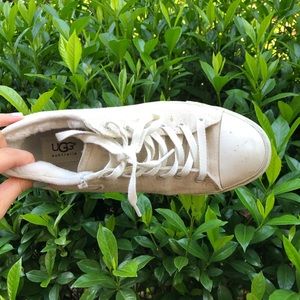 Ugg Sneakers
